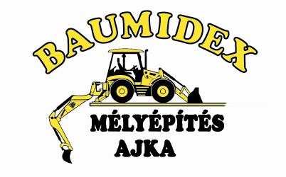 baumidex logo